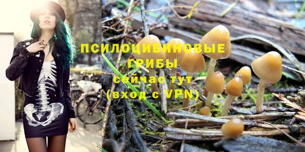 ГАЛЛЮЦИНОГЕННЫЕ ГРИБЫ Каменск-Шахтинский