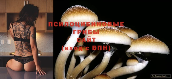 ГАЛЛЮЦИНОГЕННЫЕ ГРИБЫ Каменск-Шахтинский