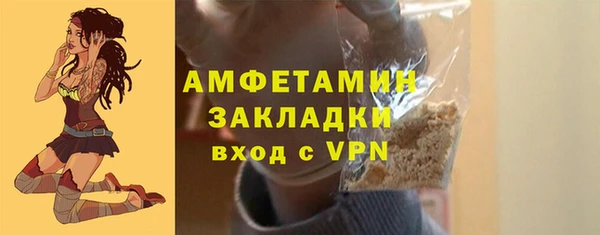 сатива Каменногорск