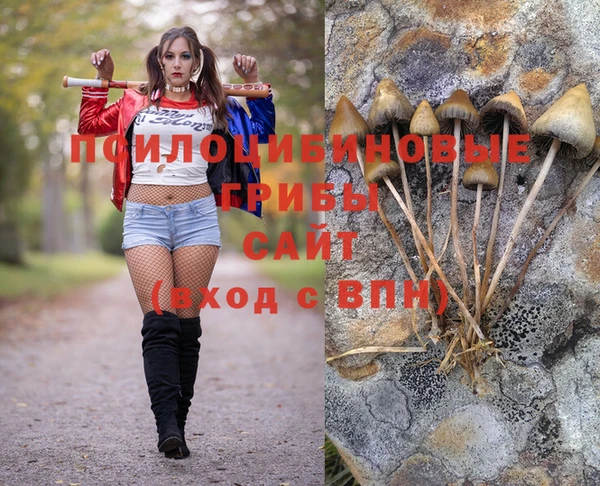 ГАЛЛЮЦИНОГЕННЫЕ ГРИБЫ Каменск-Шахтинский