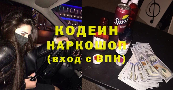 сатива Каменногорск