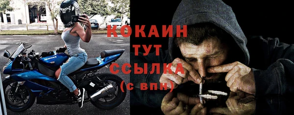 сатива Каменногорск