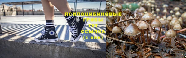ГАЛЛЮЦИНОГЕННЫЕ ГРИБЫ Каменск-Шахтинский