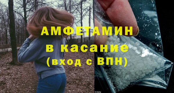 сатива Каменногорск