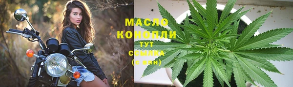 сатива Каменногорск