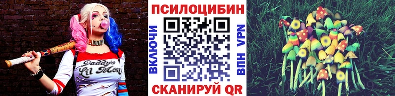 Купить  Десногорск  Псилоцибиновые грибы MAGIC MUSHROOMS 