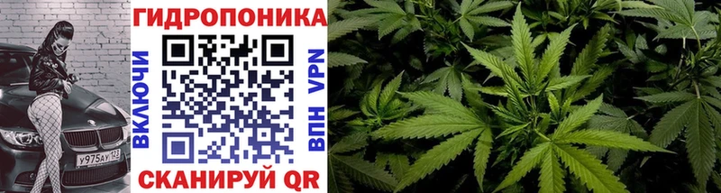 Каннабис семена  Купить где  Десногорск 